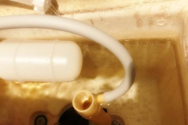写真:補助水ホースとオーバーフロー管の接続部分